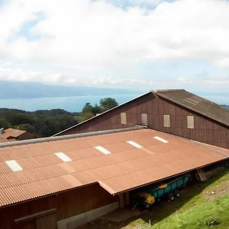 In Renoviertes - 3 Pers- By Interhome *