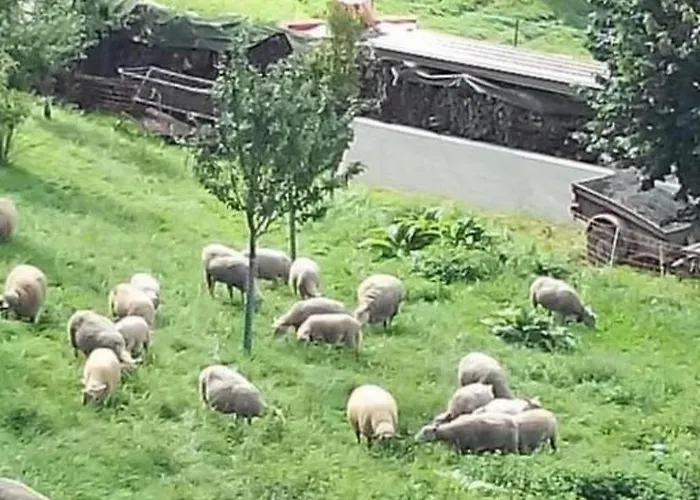 In Renoviertes - 3 Pers- By Interhome *