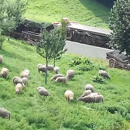 In Renoviertes - 3 Pers- By Interhome *