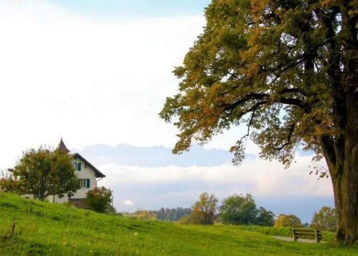 In Renoviertes - 3 Pers- By Interhome